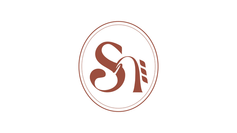 Page Transition Logo